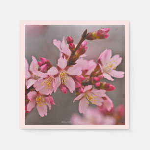 Pink Against A Grey Sky Cherry Blossoms Napkin