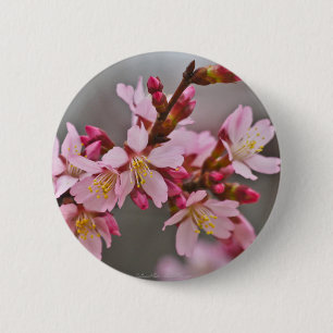 Pink Against A Grey Sky Japanese Cherry Blossoms 6 Cm Round Badge