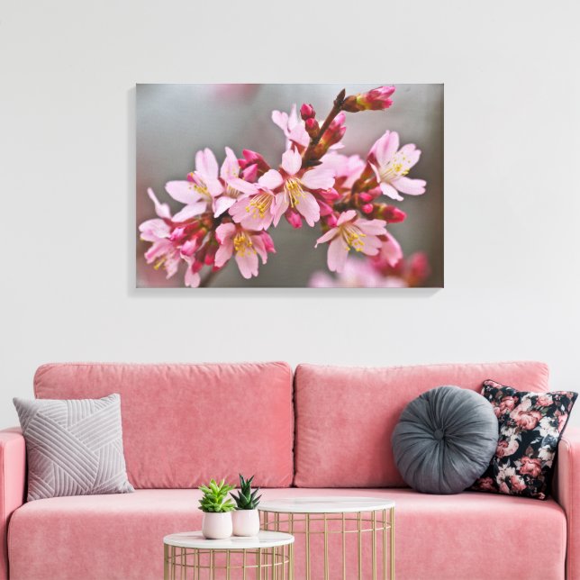 Pink Against A Grey Sky Japanese Cherry Blossoms Canvas Print (Insitu(LivingRoom))