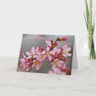 Pink Against A Grey Sky Japanese Cherry Blossoms Card