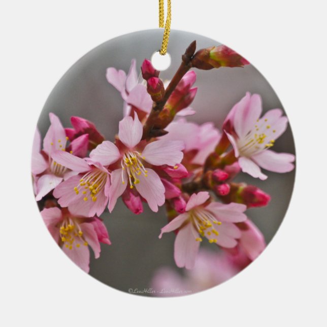 Pink Against A Grey Sky Japanese Cherry Blossoms Ceramic Tree Decoration (Front)