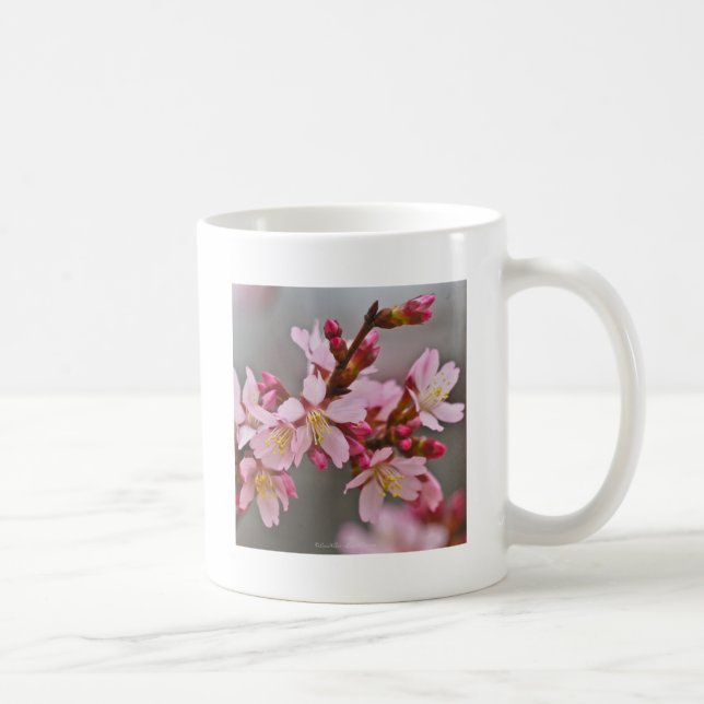 Pink Against A Grey Sky Japanese Cherry Blossoms Coffee Mug (Right)