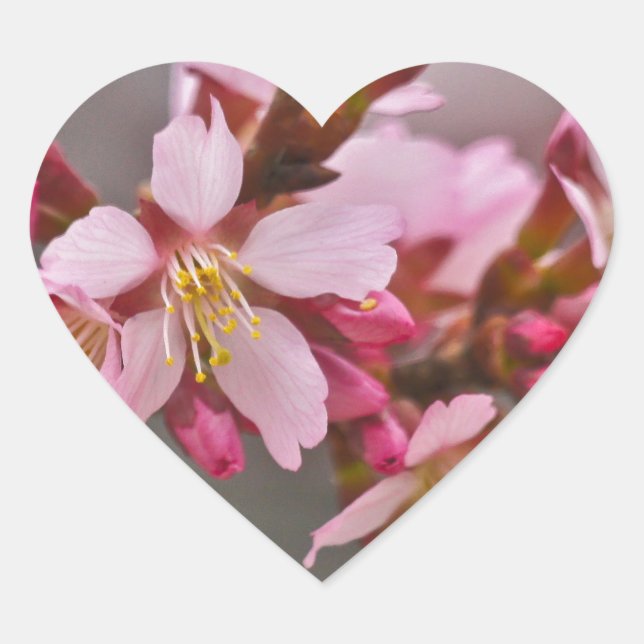 Pink Against A Grey Sky Japanese Cherry Blossoms Heart Sticker (Front)