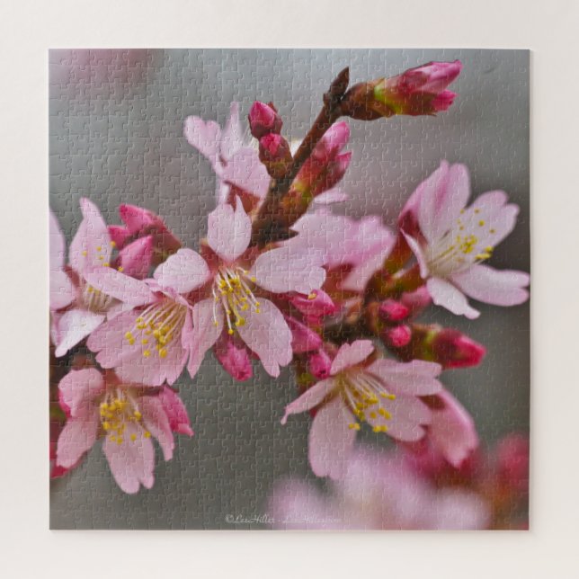Pink Against A Grey Sky Japanese Cherry Blossoms Jigsaw Puzzle (Vertical)