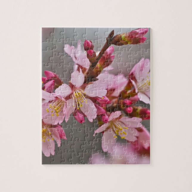 Pink Against A Grey Sky Japanese Cherry Blossoms Jigsaw Puzzle (Vertical)