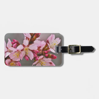 Pink Against A Grey Sky Japanese Cherry Blossoms Luggage Tag