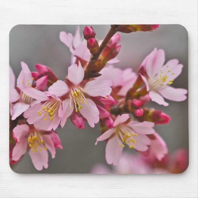 Pink Against A Grey Sky Japanese Cherry Blossoms Mouse Mat (Front)