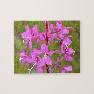 Pink Alaskan Fireweed flowers in bloom Jigsaw Puzzle
