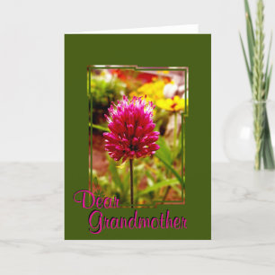 Pink Allium Greeting Card 002