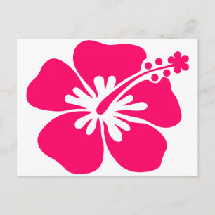 pink aloha flower postcard