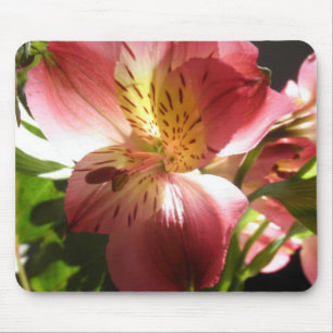 Pink Alstroemeria Flower Lilies Flowers Photo Mouse Mat