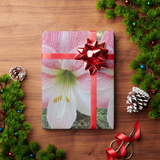 Pink amarylis gift wrapping paper (Holiday Gift)