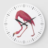 Pink American Flamingo Audubon Vintage Art Bird