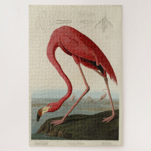 Pink American Flamingo  Audubon's Birds of America Jigsaw Puzzle