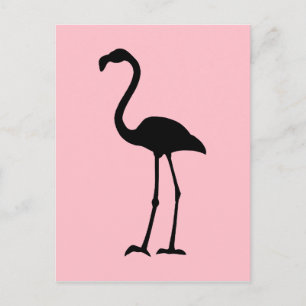 Pink and Black Flamingo Postcard