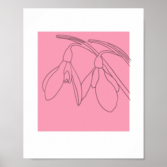 Pink and Black snowdrop flower  Poster (Front)