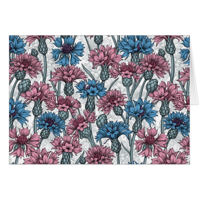 Pink and blue cornflowers, wild flowers on white (Front Horizontal)