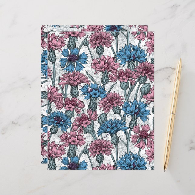 Pink and blue cornflowers, wild flowers on white (Front/Back In Situ)