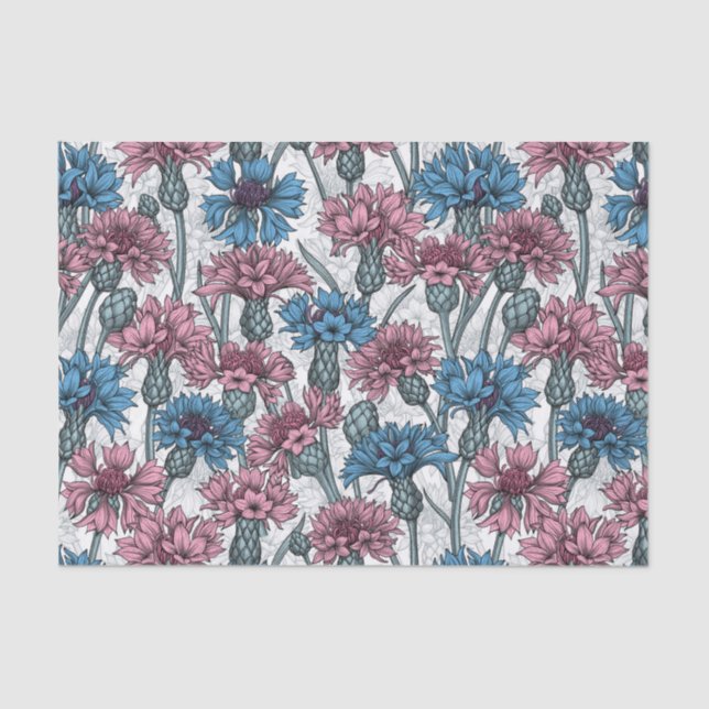 Pink and blue cornflowers, wild flowers on white tissue paper (Front)
