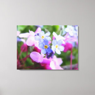 Pink And Blue Spring Flowers Canvas Print