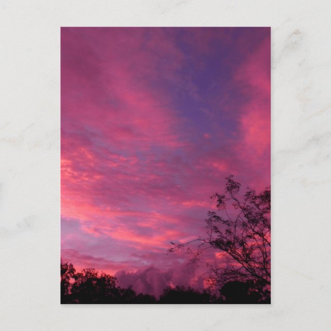 Pink and Blue Sunset Sunrise Sky Skies Photo Postcard (Front)
