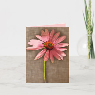 Pink and Brown Coneflower Echinacea purpurea Thank You Card