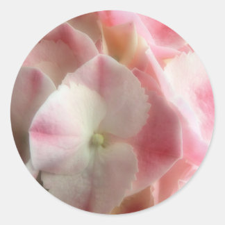 Pink and cream Hydrangea Classic Round Sticker