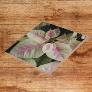 Pink and Cream Marble Poinsettia Floral Tile