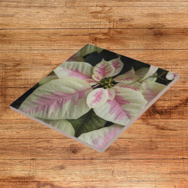 Pink and Cream Marble Poinsettia Floral Tile (In Situ)