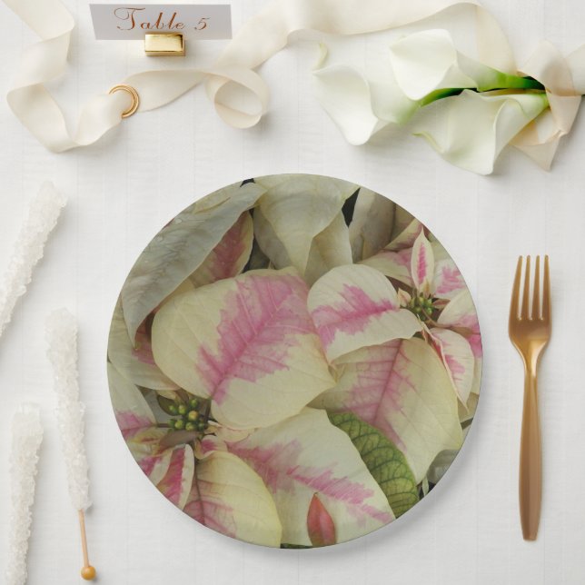 Pink and Cream Poinsettias Floral Paper Plate (Wedding)