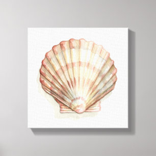 Pink and Cream Seashell Canvas Print