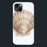 Pink and Cream Seashell iPhone 13 Case<br><div class="desc">Megan Meagher loves to paint pictures of the beautiful ocean collections. She captures the most natural yet beautiful offers of nature in sea life. In this classic and simple painting, it captures the simplicity of a beautiful cream and pink seashell. Get this piece of fine art print today to add...</div>