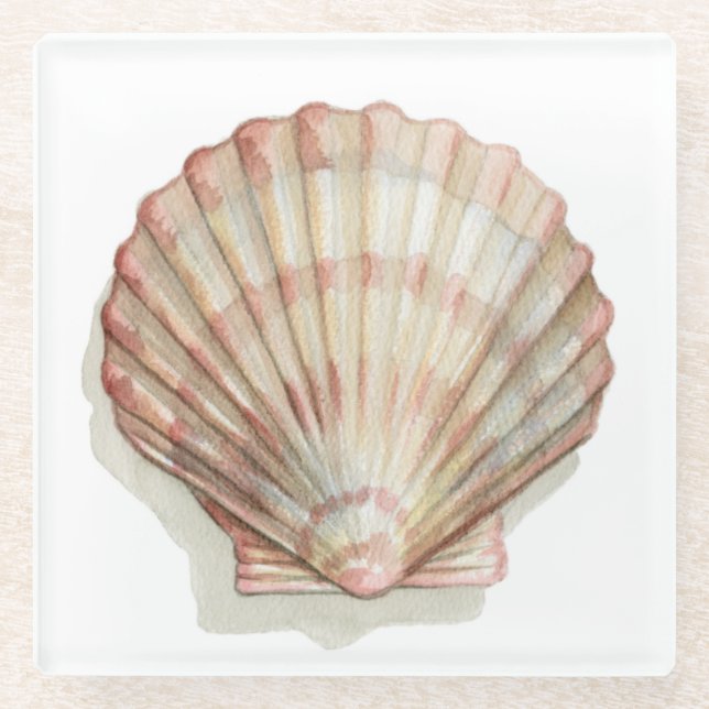 Pink and Cream Seashell Glass Coaster (Front)