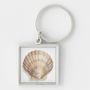 Pink and Cream Seashell Key Ring