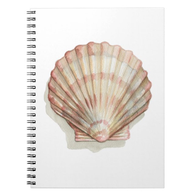 Pink and Cream Seashell Notebook (Front)