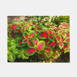 Pink and Green Coleus Flower Door Mat