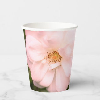Pink And Green Flower Photograph Paper Cups