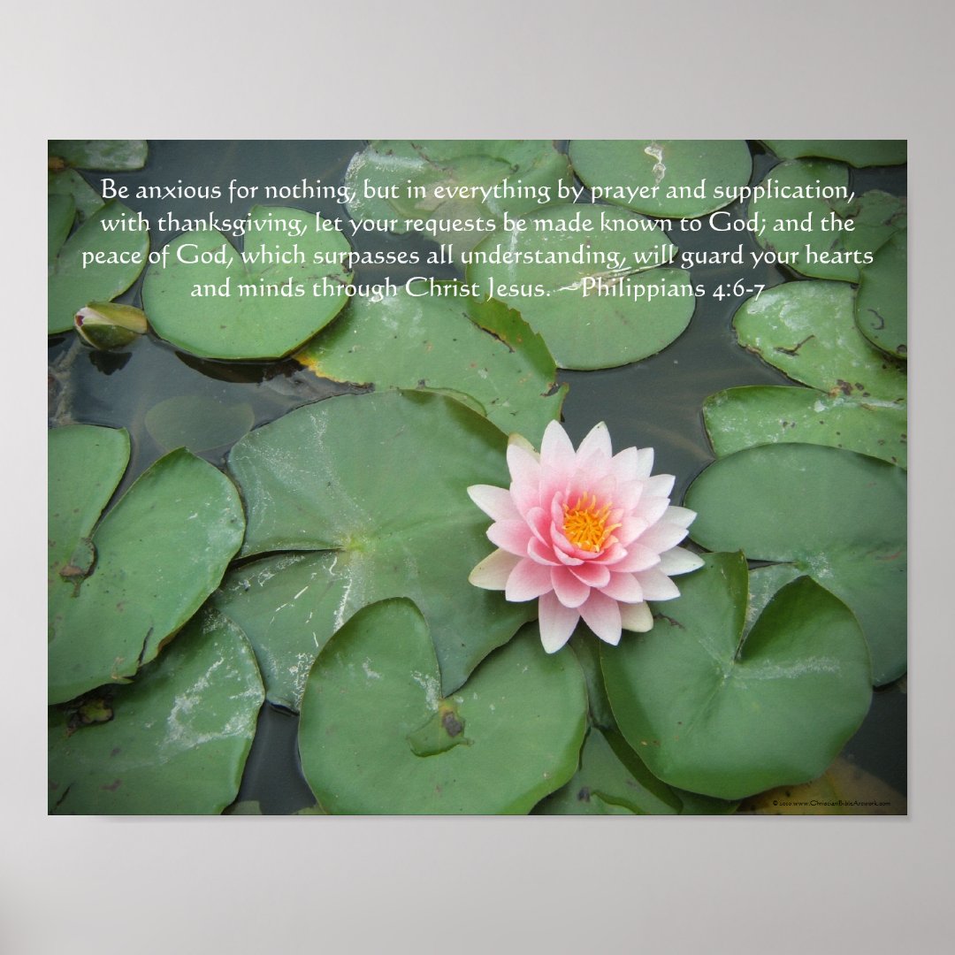 Pink and Green Lily Pad Flower w/Bible Verse Poster Zazzle