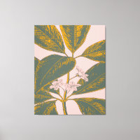Pink and Green Palm Frond Botanical Drawing