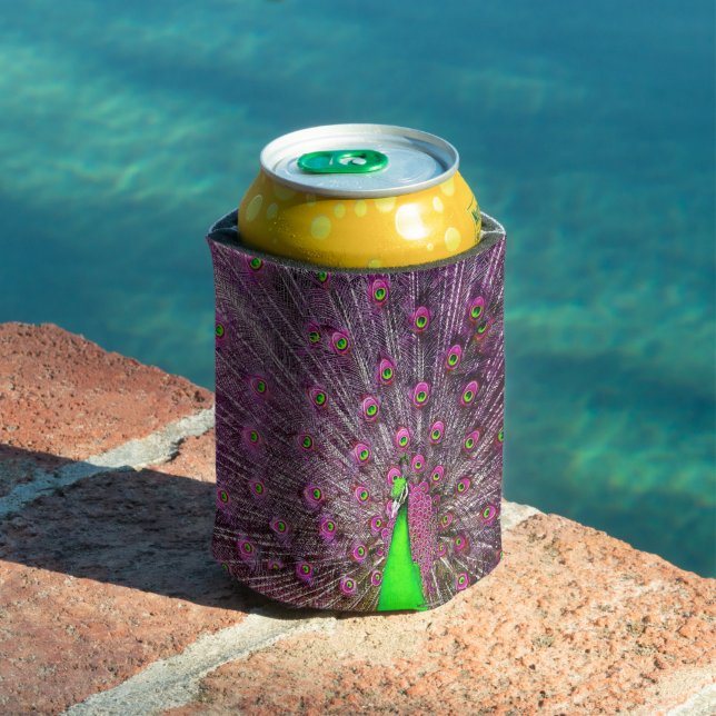 Pink And Green Peacock,   Can Cooler (In Situ Pool)