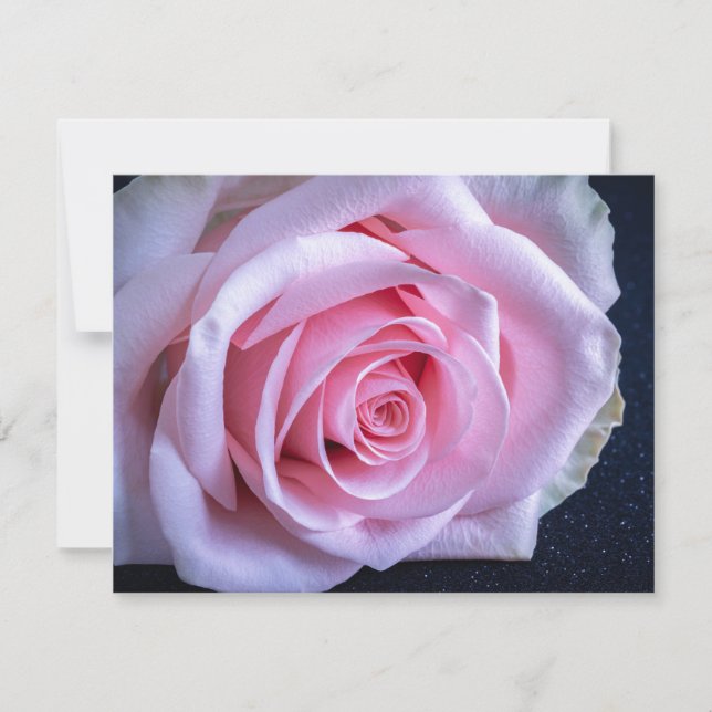 Pink and Green Roses Invitation (Front)