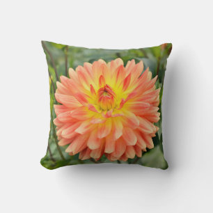 Pink and orange Georgina flower closeup Cushion
