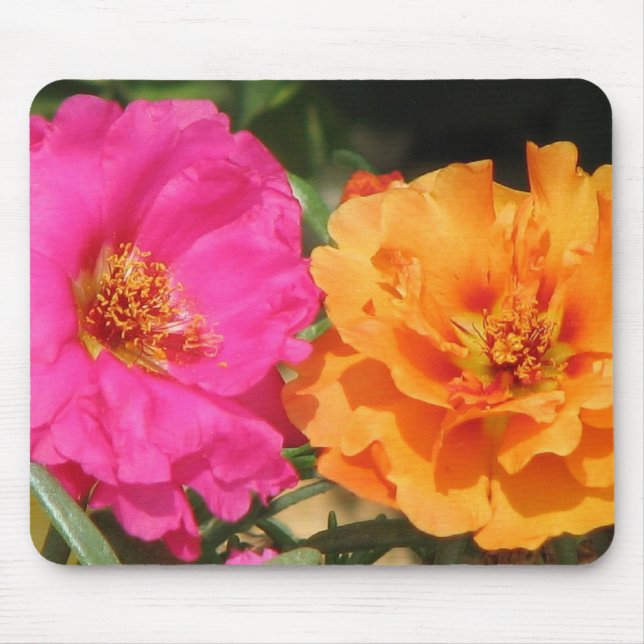 Pink  and Orange Portulaca Mouse Mat (Front)
