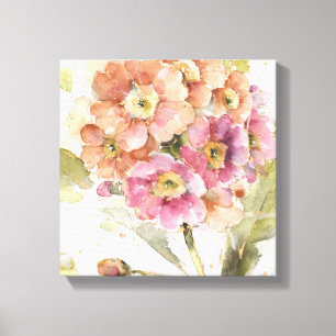 Pink and Orange Primrose Canvas Print
