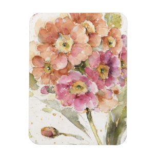 Pink and Orange Primrose Magnet