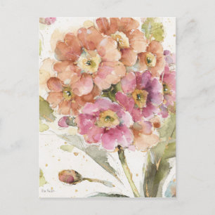 Pink and Orange Primrose Postcard