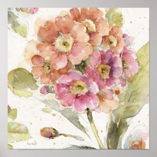 Pink and Orange Primrose Poster