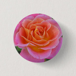 Pink and Orange Rose Button