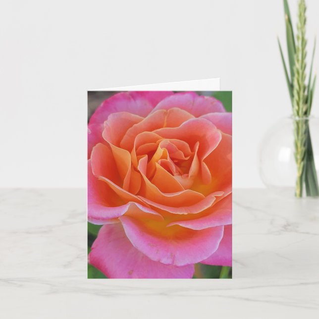 Pink and Orange Rose Personalised Greeting Card (Front)