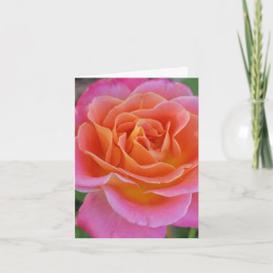 Pink and Orange Rose Personalised Greeting Card